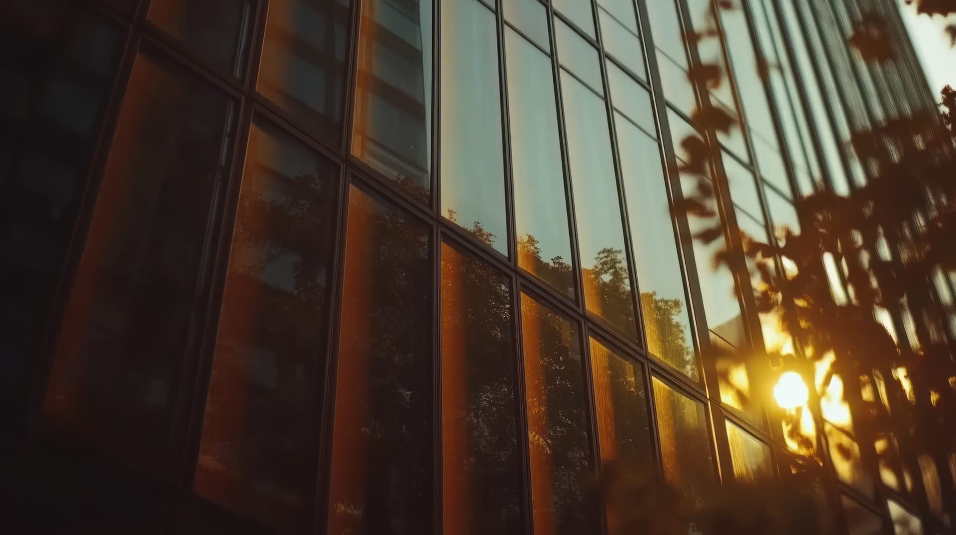 Fachada de prédio espelhado refletindo árvores e o sol ao entardecer